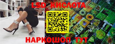 трава Сланцы